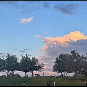 蘑菇视频免费版无限解锁版的特点
